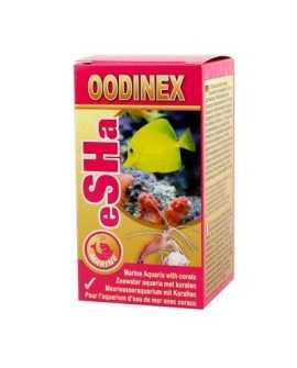OODINEX  20ml